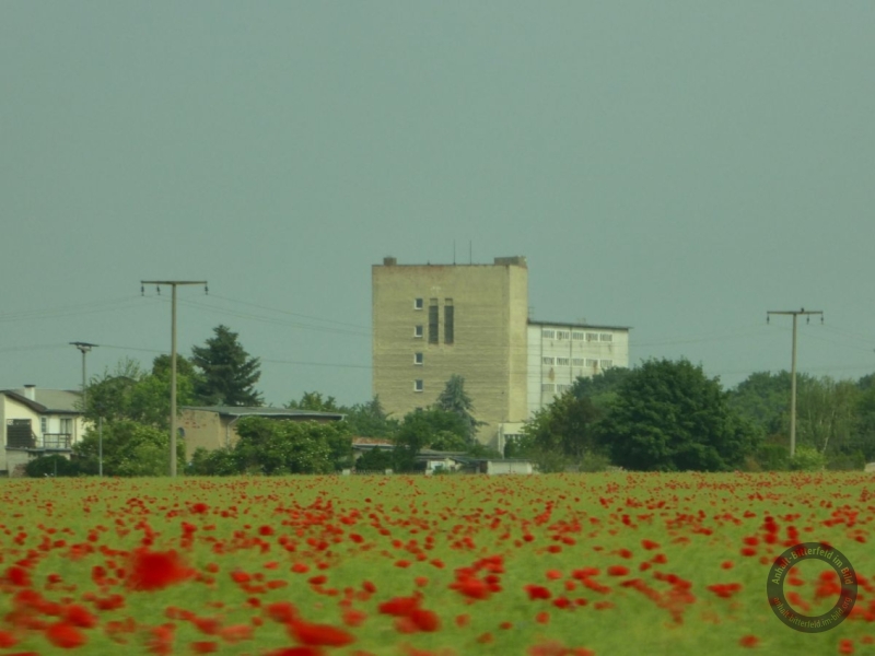 Schweinehochhaus in Maasdorf (Stadt Südliches Anhalt) im Landkreis Anhalt-Bitterfeld