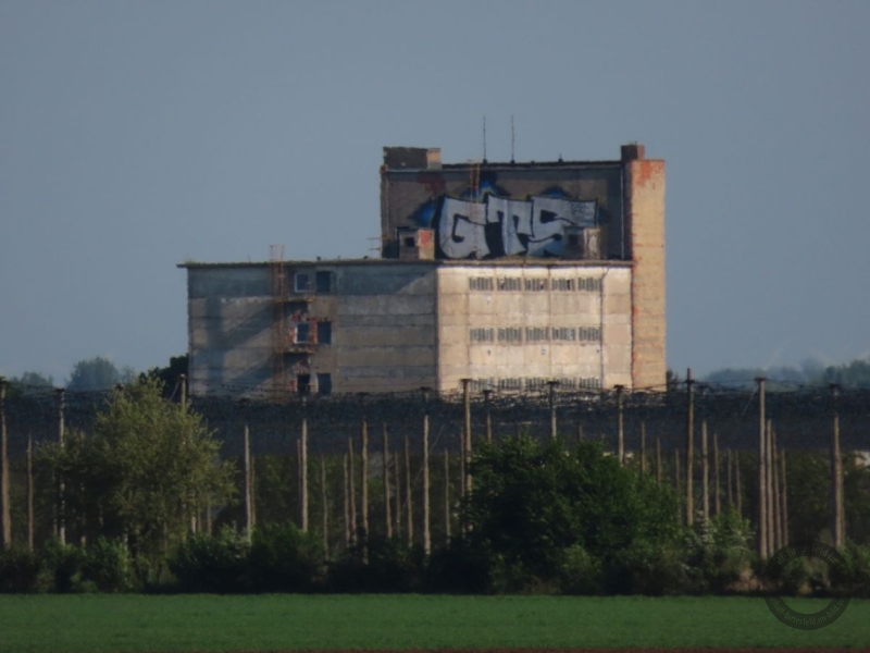 Schweinehochhaus in Maasdorf (Stadt Südliches Anhalt) im Landkreis Anhalt-Bitterfeld