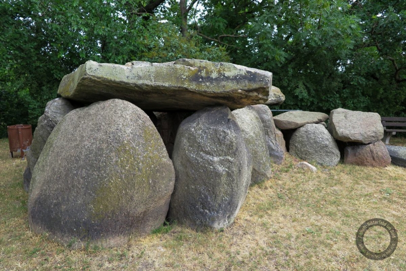 Großsteingrab auf dem Hohen Berg in Wulfen (Osternienburger Land) im Landkreis Anhalt-Bitterfeld