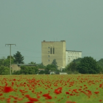 Schweinehochhaus in Maasdorf (Stadt Südliches Anhalt) im Landkreis Anhalt-Bitterfeld